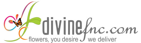 Divinefnc